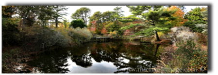 "mytoi japanese garden autumn 1"
chappaquiddick island